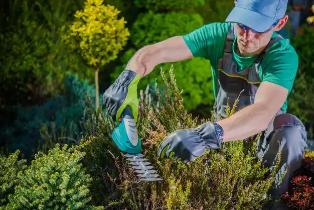 landscaping services Ossun